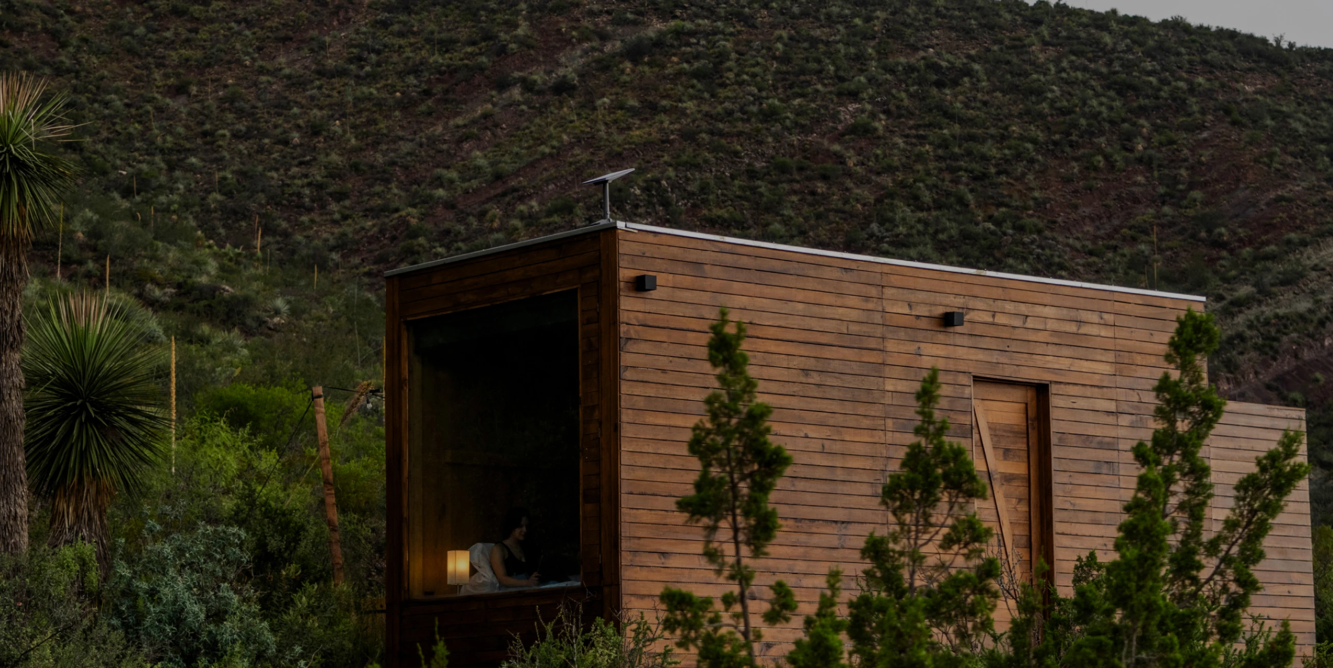 Starlink Installation Services